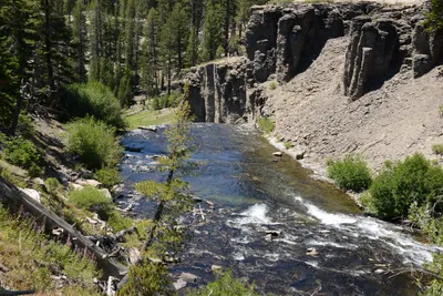 DSC_3767 (Large).JPG